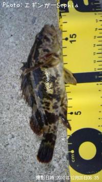 ¥¿¥±¥Î¥³¥á¥Ð¥ë