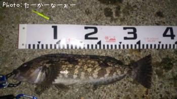 �����ʥ�