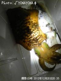 �����ꥤ��