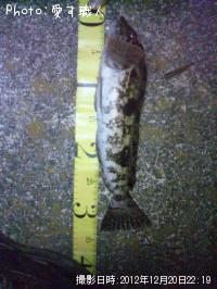 �����ʥ�