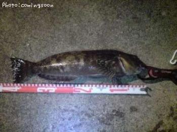 �����ʥ�