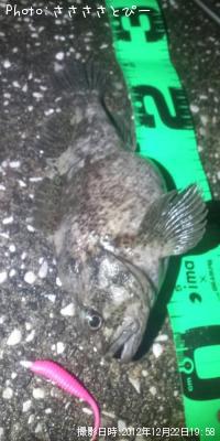 ʢ�ѥ󥽥�����Х�