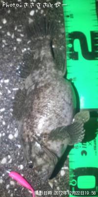 ʢ�ѥ󥽥�����Х�