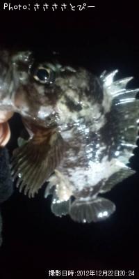 ʢ�ѥ󥽥�����Х�