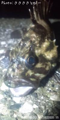 ʢ�ѥ󥽥�����Х�