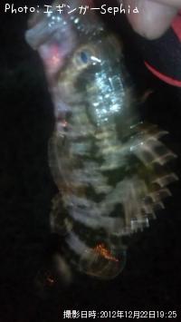 �����Υ���Х�