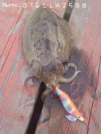 ��󥴥�����