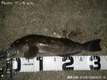 �����ʥ�