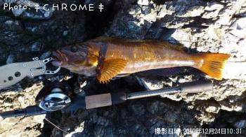 �����ʥ�