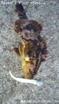 �����Υ���Х�