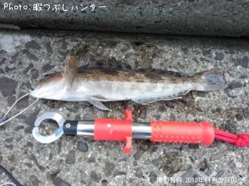 �����ʥ�