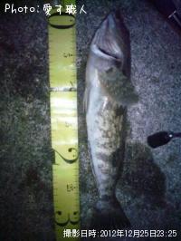 �����ʥ�