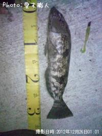 �����ʥ�