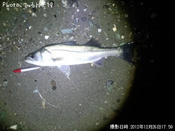 �����Х�