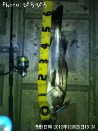 �����Х�