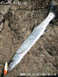 ¥ª¥Ë¥«¥Þ¥¹