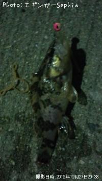 ¥¿¥±¥Î¥³¥á¥Ð¥ë