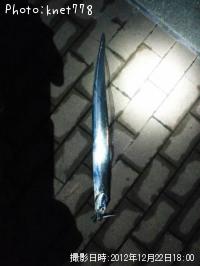 ÂÀÅáµû