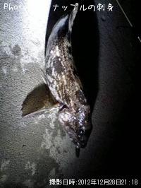 �����ʥ�