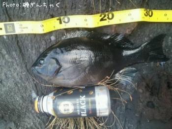 �����᥸��