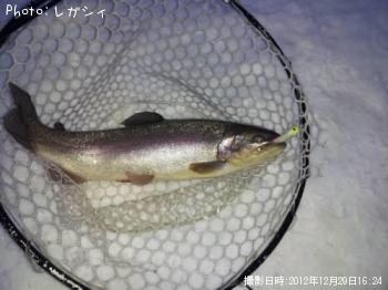 ���å��ȥ饦��