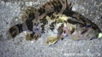 �����Υ���Х�