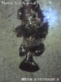 ¥¿¥±¥Î¥³¥á¥Ð¥ë