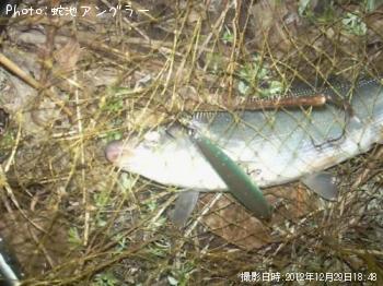 �����Х�