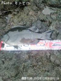 �����᥸��