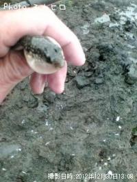 �����᥸��