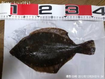 �ޥ����쥤