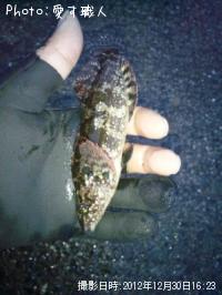 °ì±þ¥¢¥¤¥Ê¥á