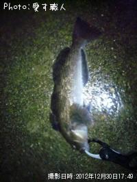 �����ʥ�