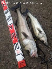 �����Х�