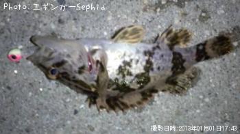 ¥¿¥±¥Î¥³¥á¥Ð¥ë