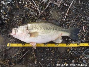 ¥Ö¥é¥Ã¥¯¥Ð¥¹