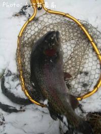 �쥤��ܡ��ȥ饦��