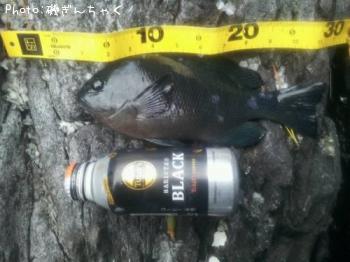 �����᥸��