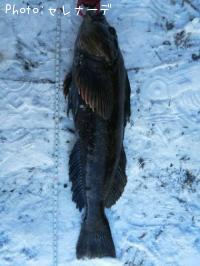 �����ʥ�