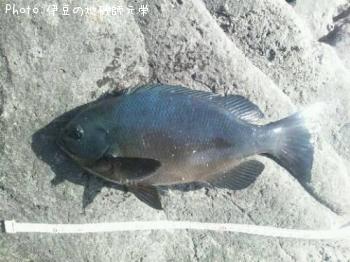 �����᥸��