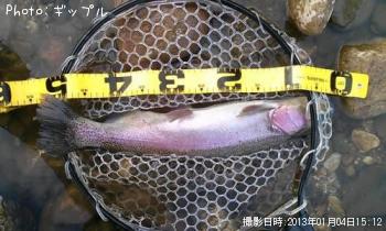 �쥤��ܡ��ȥ饦��