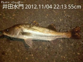 �����Х�