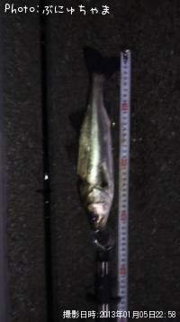 �����Х�