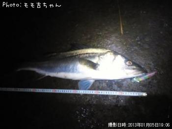 �����Х�