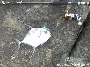 ¥¤¥È¥Ò¥¥¢¥¸