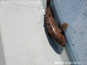 �����ʥ�