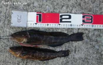 �����ʥ�