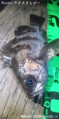 ��Х������