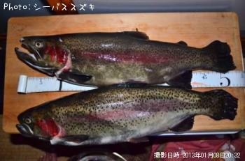 ��������إåɥȥ饦��