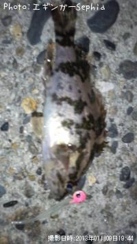 �����Υ���Х�